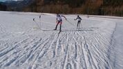 klicken sie zur Grossversion