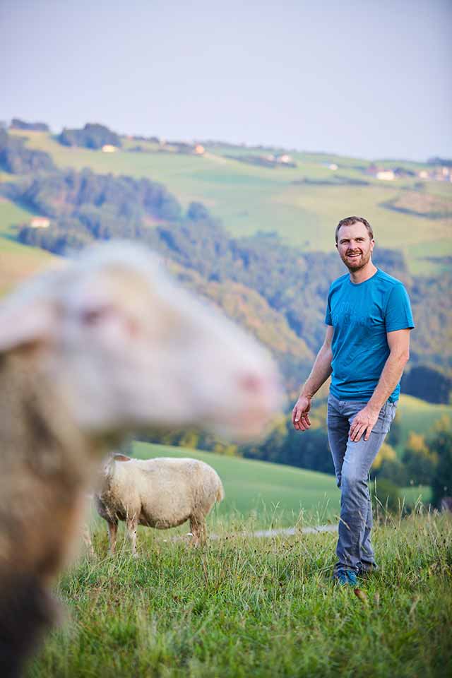 Landwirt Günter Kaiser mit seinen Schafen