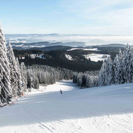 Winterlicher Ausflugsspaß am Sternstein